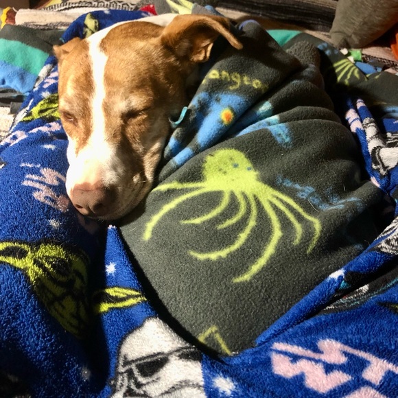 Meet your Posher, Jessica - Picture 4 of 4